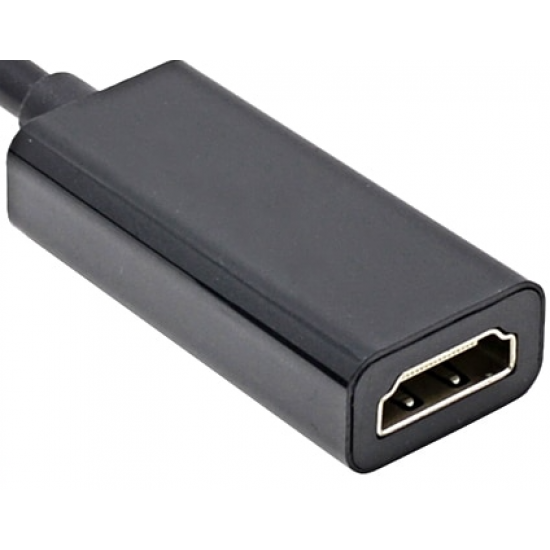 Adaptateur de Câble DP Port d'Affichage Femelle vers HDMI Mâle 1080P