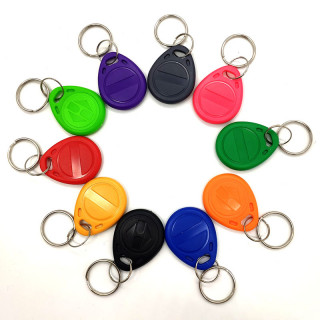Lot De 50 Porte-clés RFID T5577 - 125 KHz Réinscriptibles - Pour Contrôle D'accès Hôtelier
