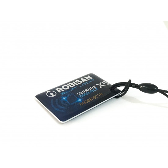 TAG PORTE CLEE EPOXY RFID 125Khz ROBISAN TAG PORTE CLEE EPOXY RFID 125Khz ROBISAN