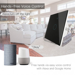 Smart WiFi RF433 Wireless without Neutral 2Gang Light Switch Tuya APP