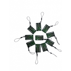 TAG PORTE CLEE EPOXY MIFARE CRYPTO X5 ROBISAN ANTI-CLONAGE TAG PORTE CLEE EPOXY MIFARE CRYPTO X5 ROBISAN ANTI-CLONAGE