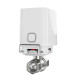 Electrovanne intéllgente 1/2'' DN15 Ajax waterstop Jeweller Electrovanne intéllgente 1/2'' DN15 Ajax waterstop Jeweller