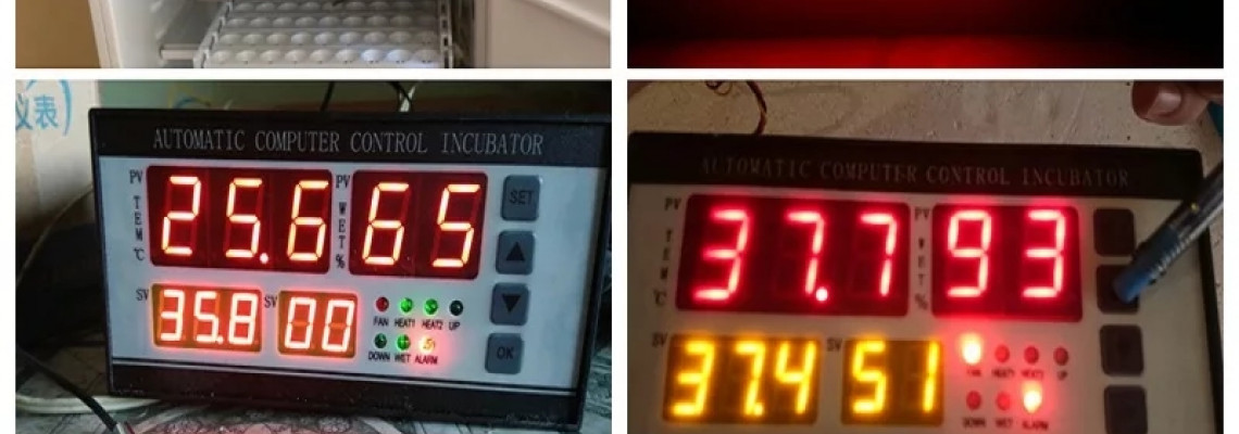 DYI incubator DYI incubator