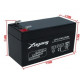 Batterie au plomb 12 V 1,3 Ah rechargeable