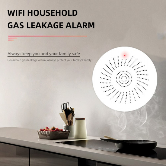 Détecteur de fuite intéligent de GAZ naturel tuya wifi 938WT Détecteur de fuite intéligent de GAZ naturel tuya wifi 938WT