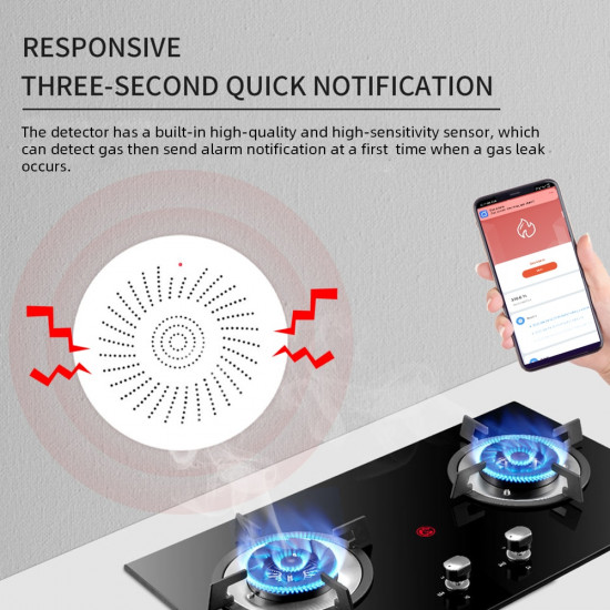 Détecteur de fuite intéligent de GAZ naturel tuya wifi 938WT