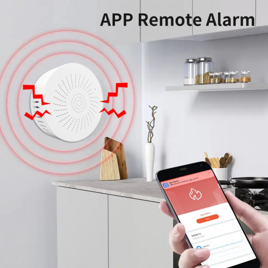 Détecteur de fuite intéligent de GAZ naturel tuya wifi 938WT Détecteur de fuite intéligent de GAZ naturel tuya wifi 938WT