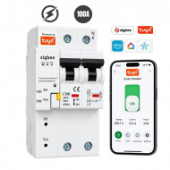 Disjoncteur MCB intelligent Tuya  avec Protection les courts-circuits 2P 100A C100