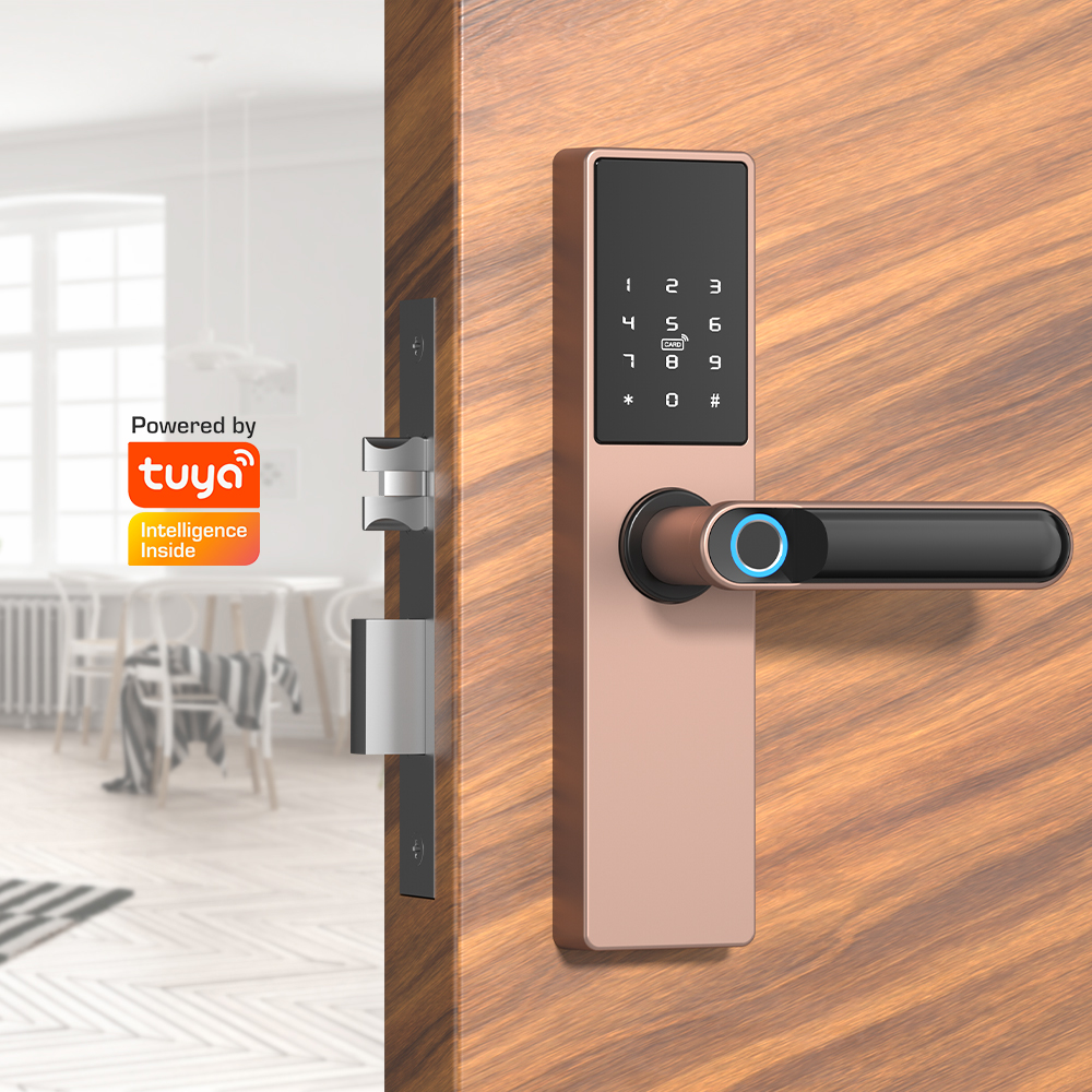 Serrure Connectée Tuya – Empreinte Digitale, Code, Carte, Clé – Noir, Alu