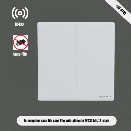 Interrupteur de Lumière Sans Fil, sans pile auto-alimenté Interrupteur émetteur RF 433 2voies Gharelec GISF-2701
