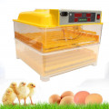 INCUBATOR