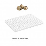 Plateau à oeufs d'incubation pour 180 œufs de caille  Plateau à oeufs d'incubation pour 180 œufs de caille