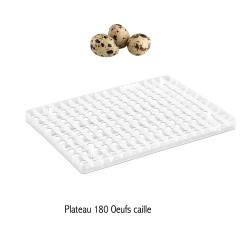 Plateau à oeufs d'incubation pour 180 œufs de caille  Plateau à oeufs d'incubation pour 180 œufs de caille