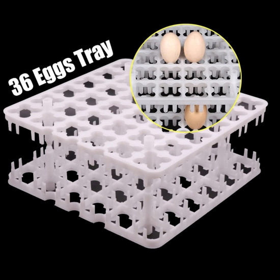 Plateau à oeufs d'incubation pour 36 œufs de poule 