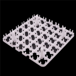 Plateau à oeufs d'incubation pour 36 œufs de poule  Plateau à oeufs d'incubation pour 36 œufs de poule