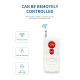 Module de contrôle à distance 5KM avec télécommande RF et sortie relais 30A
