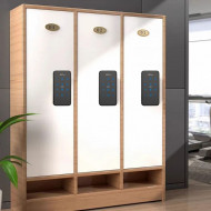 Serrure de Casier à Clavier Tactile avec Pêne Motorisé – Modèle Zktco SL06-CL20H