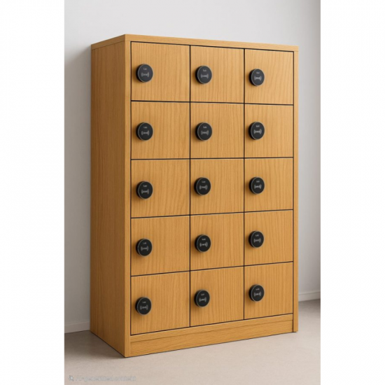 Serrure électronique RFID MIFARE pour casier et armoire – Mode Public / Privé avec alimentation USB de secours