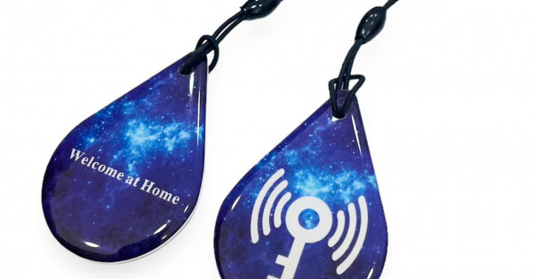 10 Badges RFID T5577/EM4305 - Porte-clés 125Khz - Modifiables - Pour Contrôle D'accès Appartement, Bureau