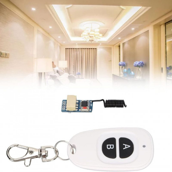 Relais sans Fil RF 315Mhz avec télécommande deux boutons AB ( pour alimentation Robisan ) 