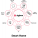 Zigbee solution